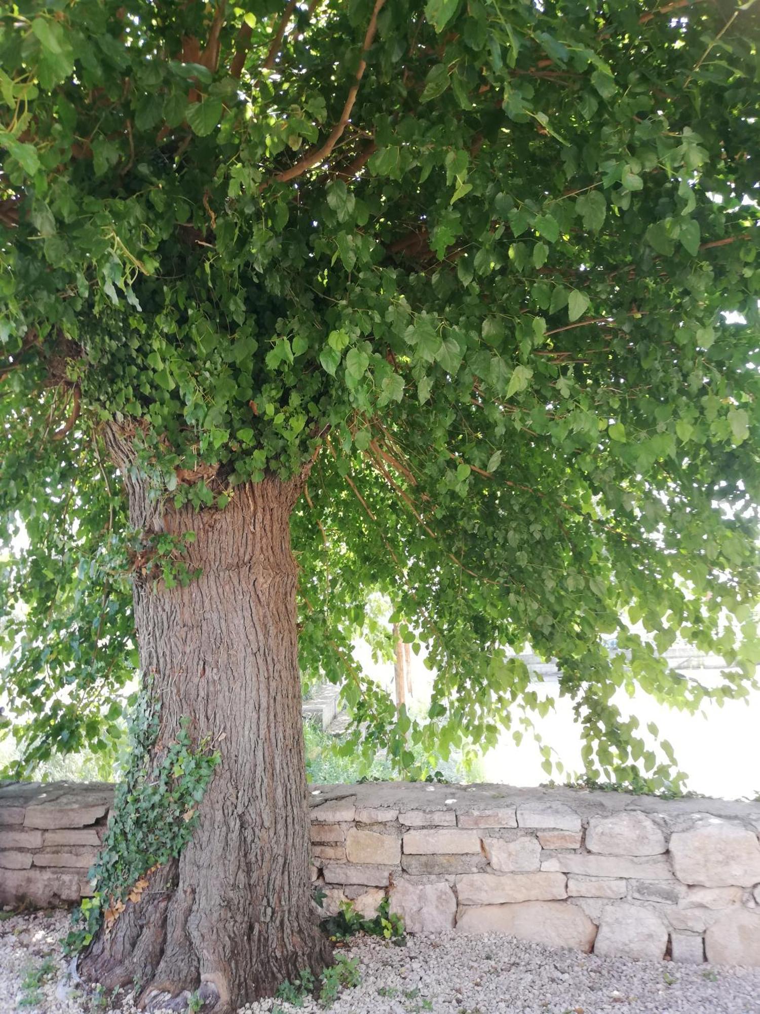 Sveti Lovreč PazenatičkiLory别墅 外观 照片