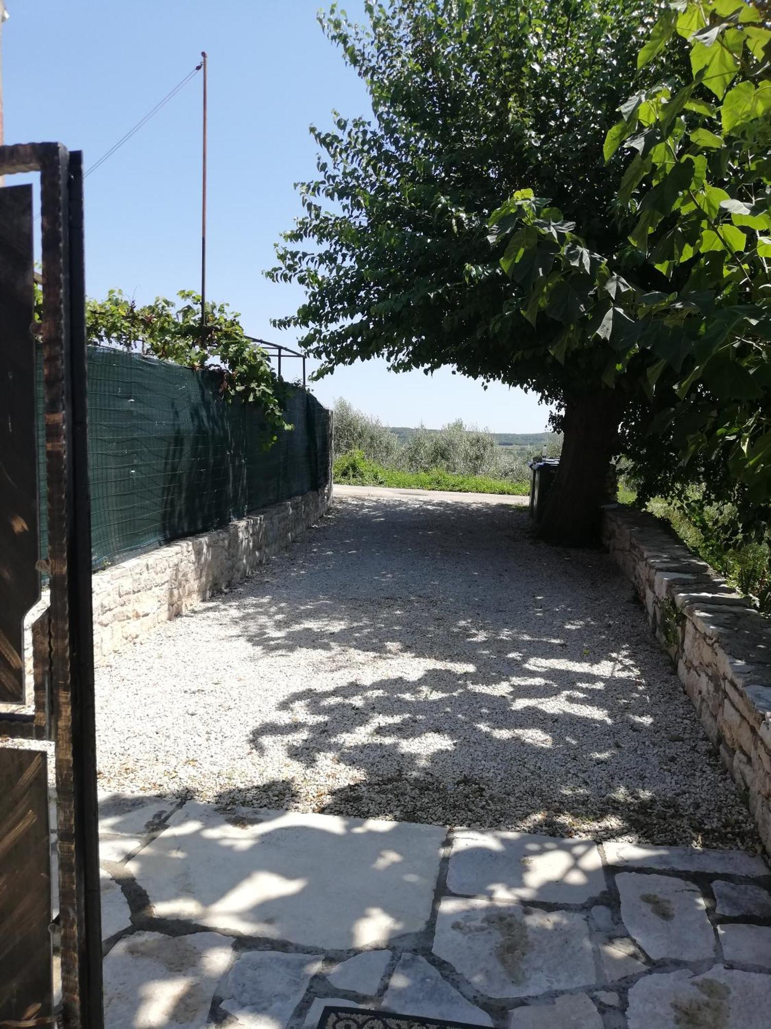 Sveti Lovreč PazenatičkiLory别墅 外观 照片